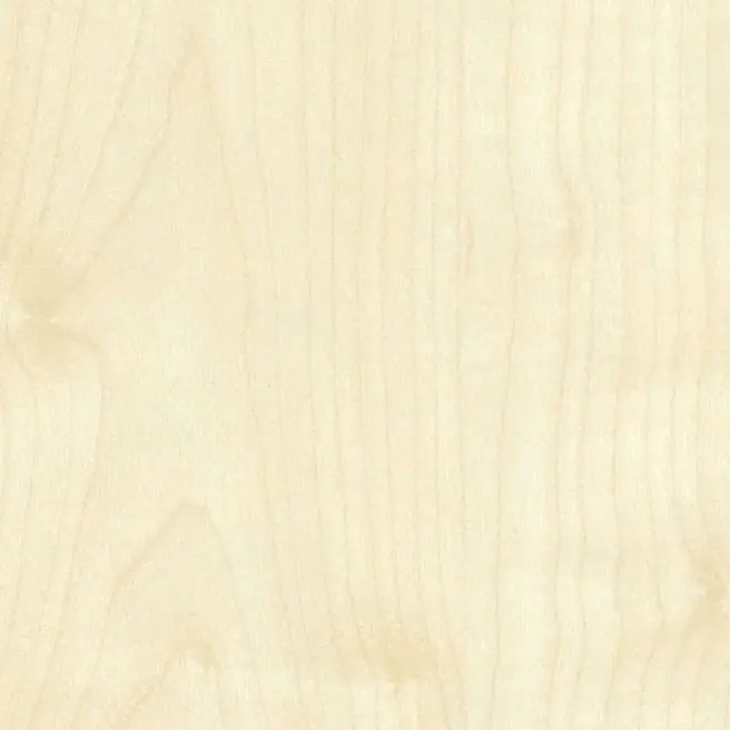 243 Alman Akçaağaç 